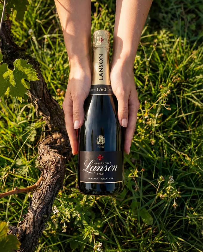 In Partnership with Champagne Lanson 