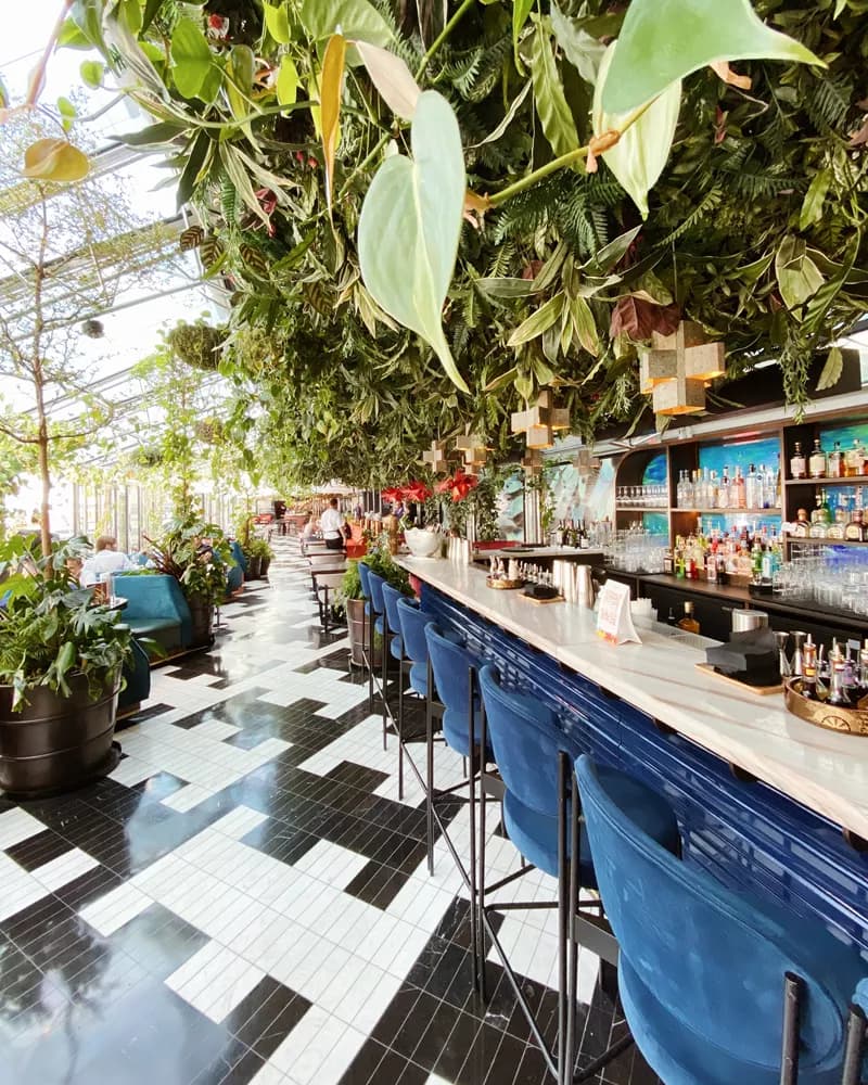 SUSHISAMBA