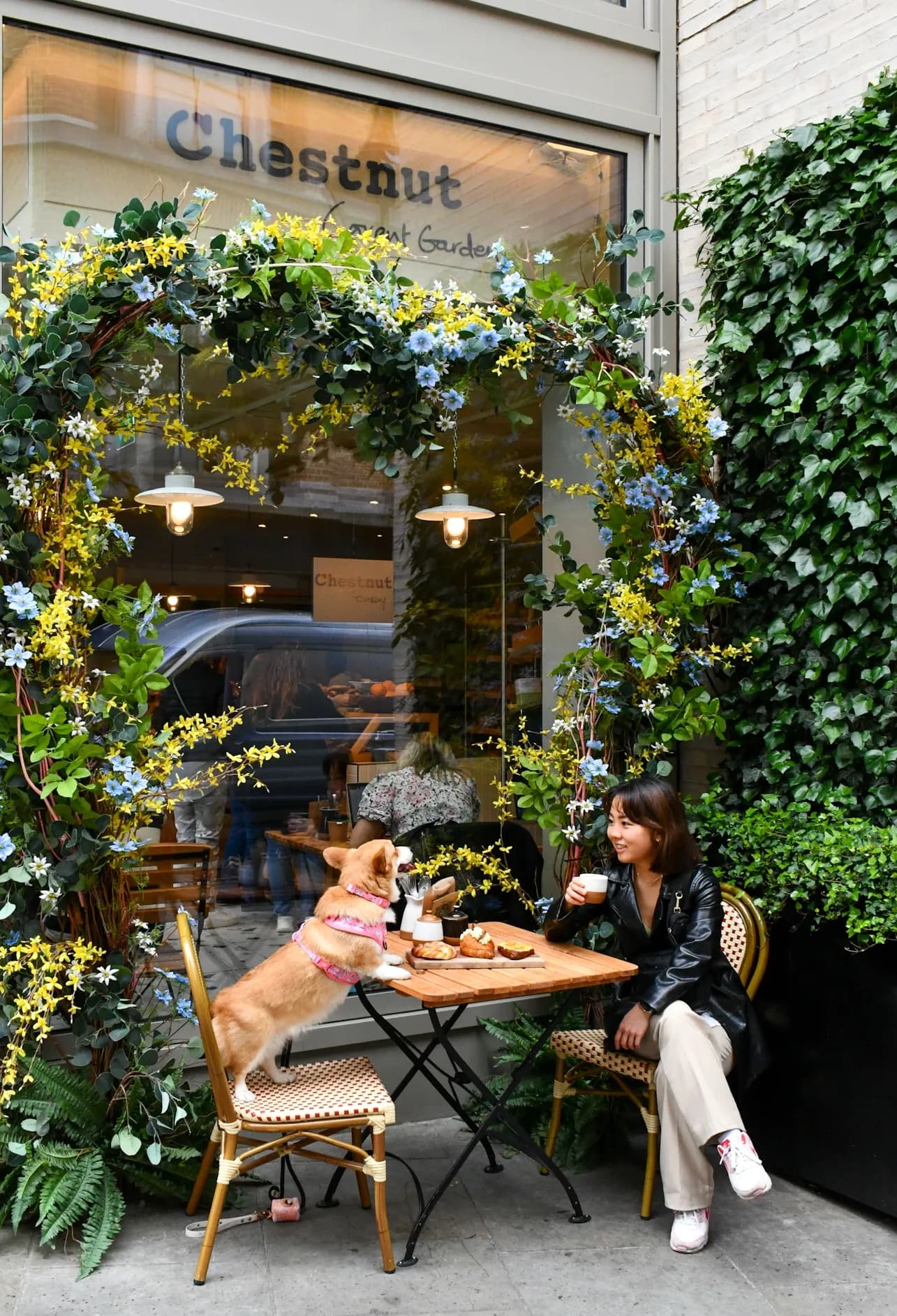 Chestnut Bakery
