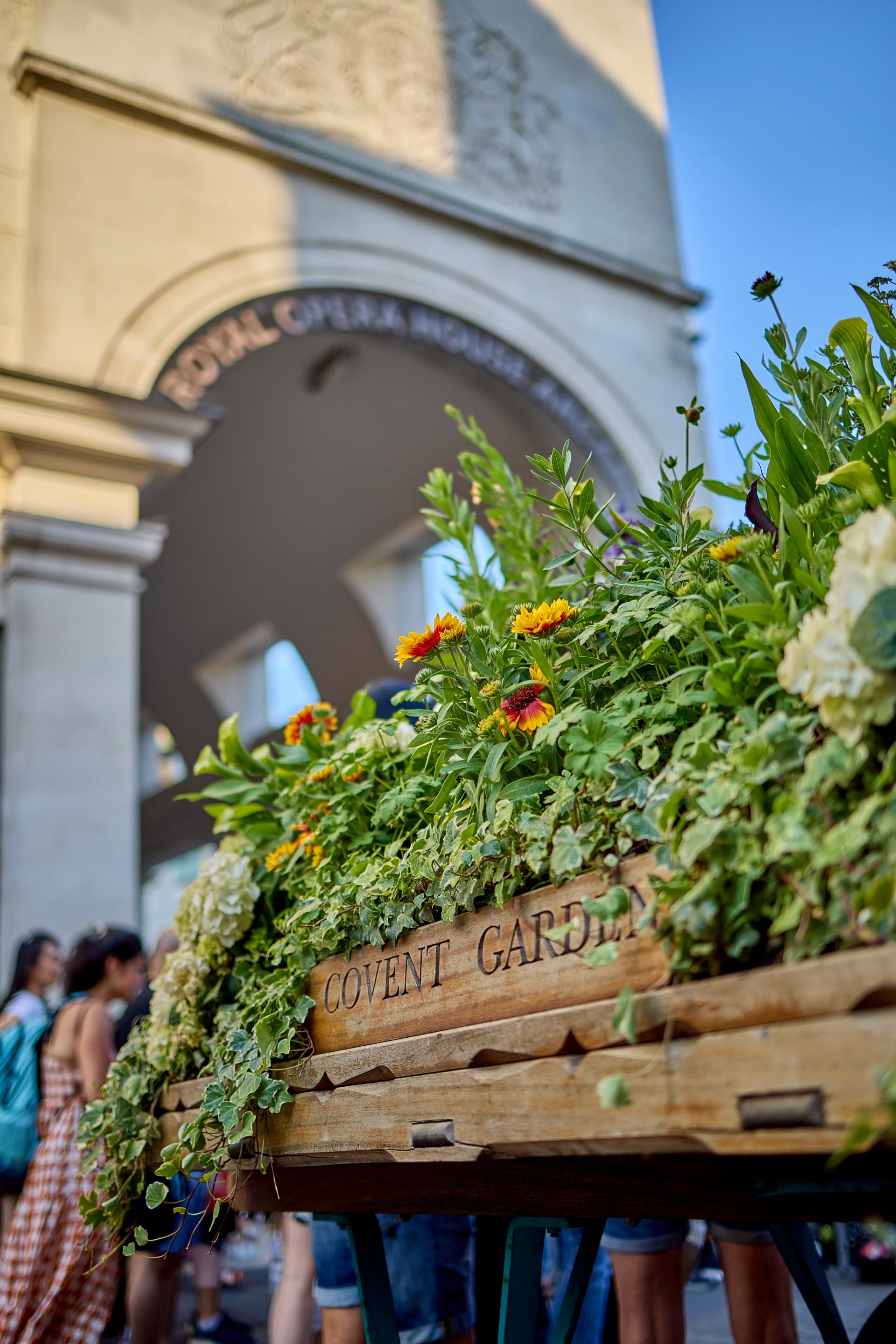 The Flower Barrows